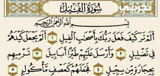 تجربتي مع سورة الفيل