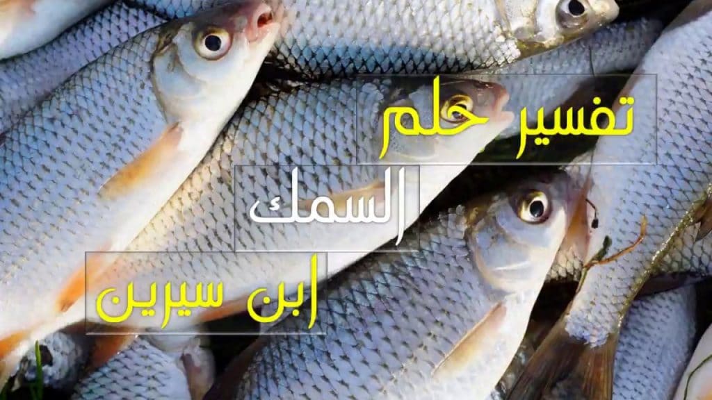 السمك في الحلم
