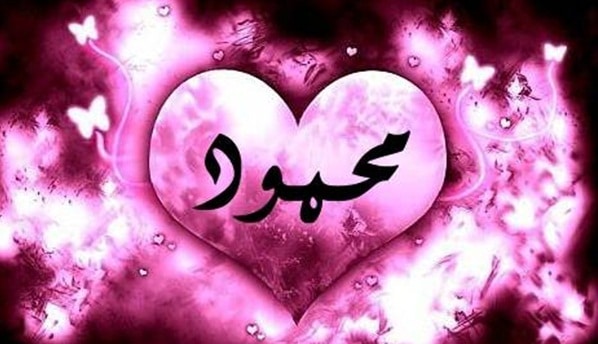 تفسير رؤية اسم محمود
