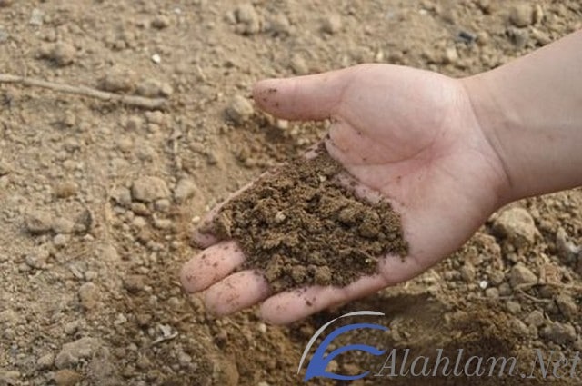 تفسير حلم التراب