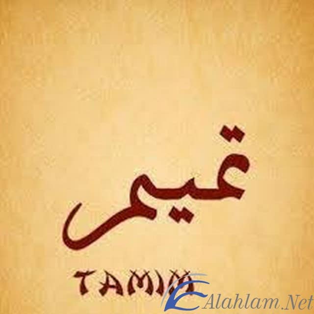 اسماء اولاد بحرف التاء