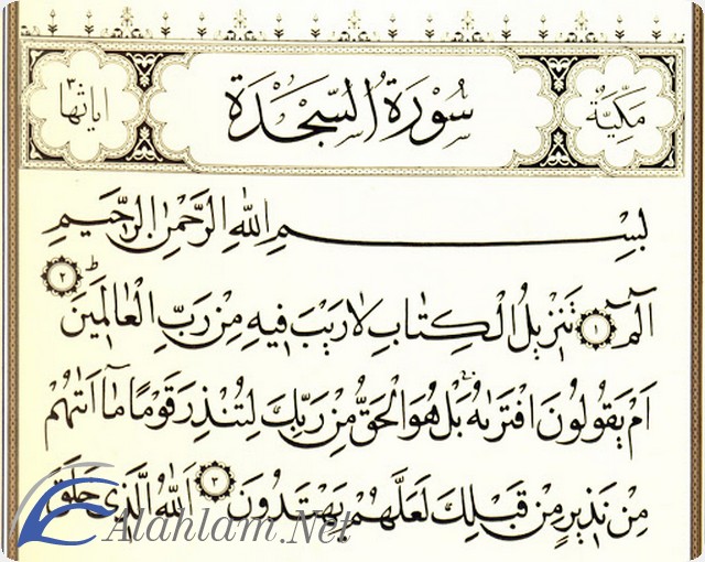 فضل قراءة سورة السجدة