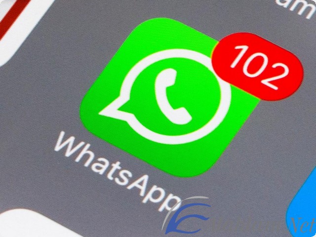 WhatsApp 2025
