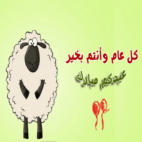 صور عيد الاضحي
