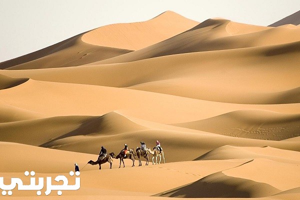 الحازمي وش يرجع