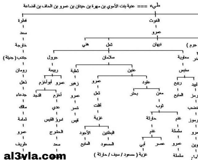أصل عائلة الدبيسي