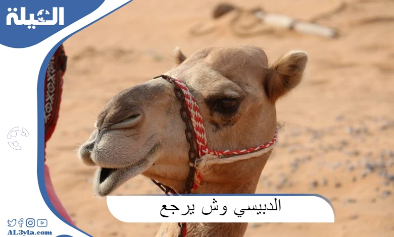 أصل عائلة الدبيسي