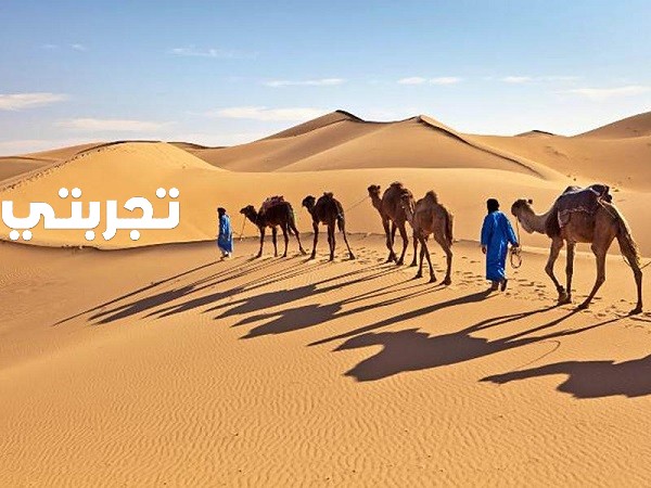 الردادي وش يرجع