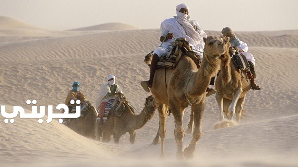 الطلحي وش يرجع