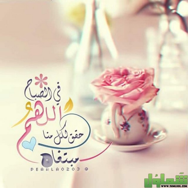 بوستات صباح الخير