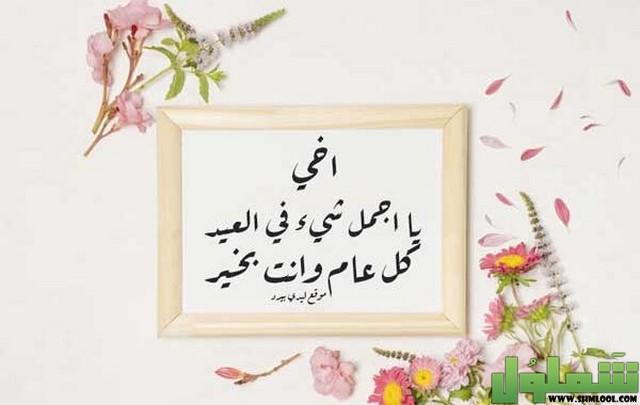 بوستات عيد ميلاد