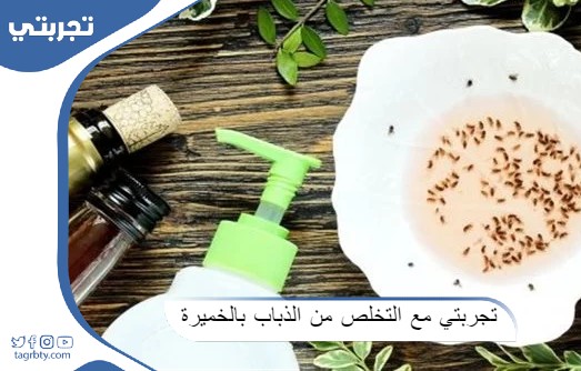 تجربتي في التخلص من الذباب