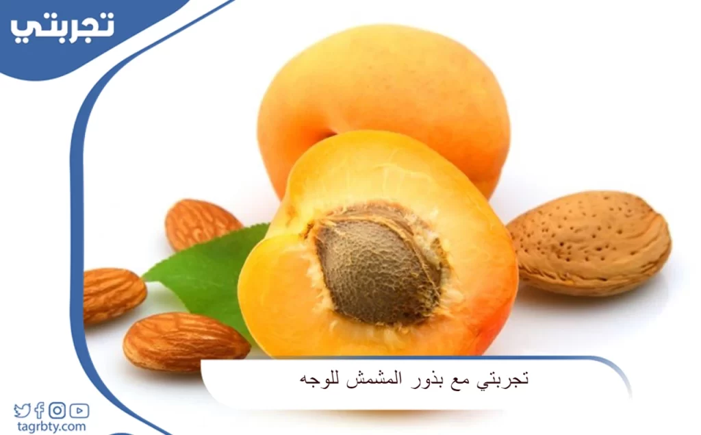تجربتي مع بذور المشمش للوجه