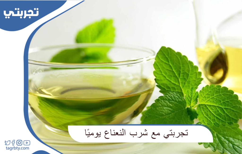 تجربتي مع شرب النعناع يوميًا