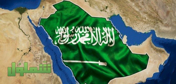 تحقق من تفويض مراجعة قطاع 