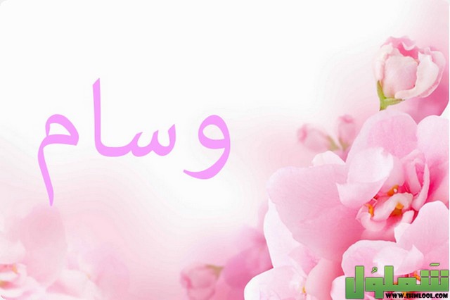 تفسير رؤية اسم وسام