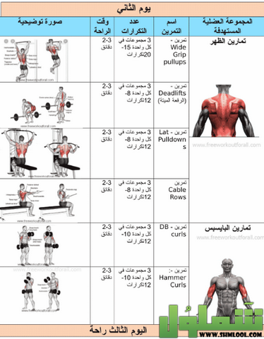 تمارين كمال الأجسام
