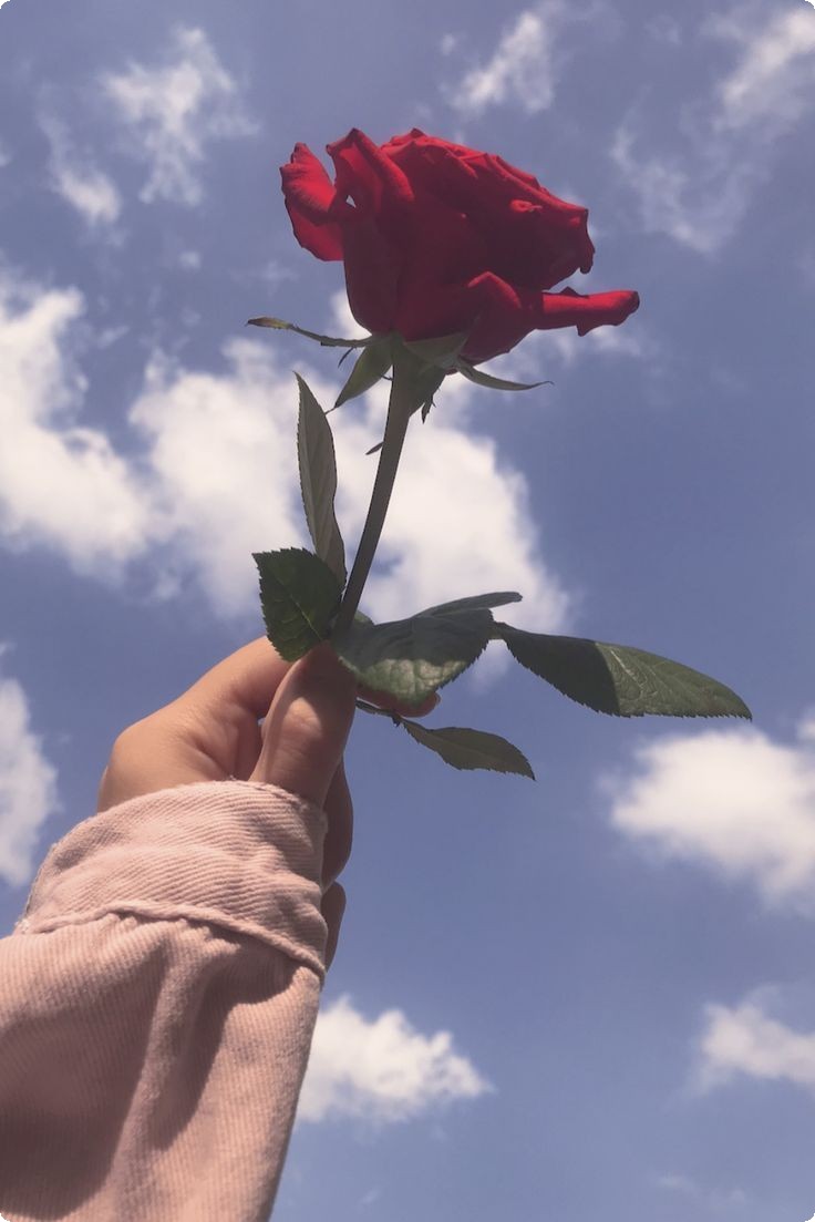 اجمل صور بروفايل