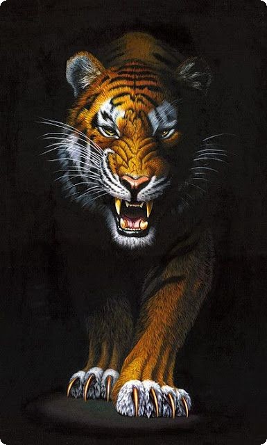 صور حيوانات