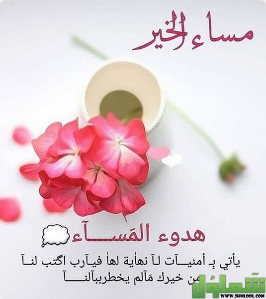 صور مساء الورد