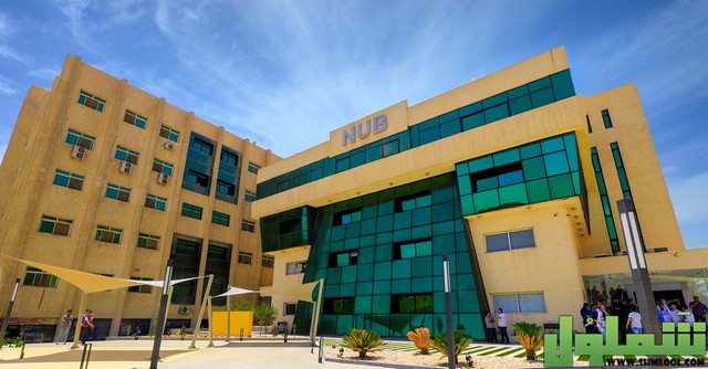 عنوان جامعة النهضة