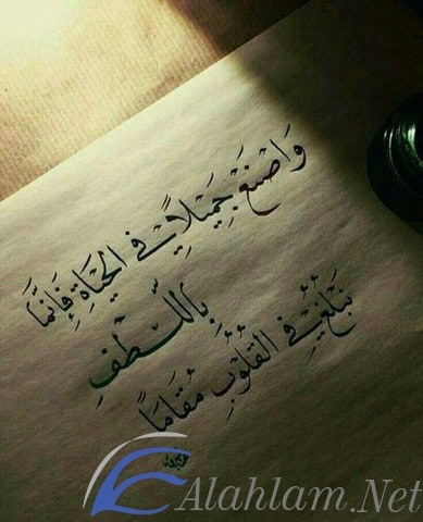 كلمات من ذهب 