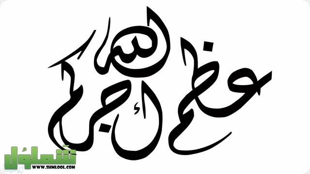 الرد على أحسن الله عزاكم