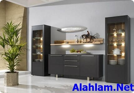 موديلات نيش روعة
